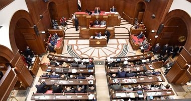 هل يختص مجلس الشيوخ بالعمل الرقابى على أداء عمل الحكومة؟ القانون يجيب