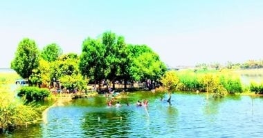 فى قلب النيل.. الجزر الطبيعية تجذب الزوار بقنا دون مقابل.. صور
