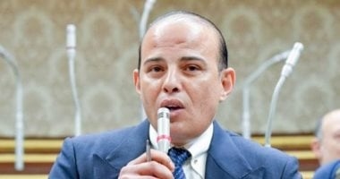 برلمانى: وعى الشعب هو الحائط الصلب ضد مؤامرات الإخوان الإرهابية