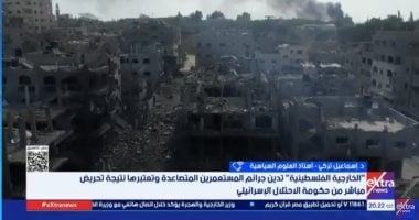 أستاذ علوم سياسية: هناك خطط خبيثة مبيتة للاستيلاء على أراضي الفلسطينيين