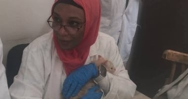 بيطرى سوهاج ينظم مبادرة "الرفق بالحيوانات الأليفة وعلاجها" بوحدة حى غرب