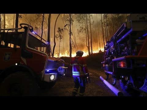 Portugal declares wildfire alert amid severe heatwave