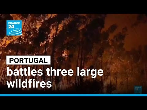 Spain and Portugal battle wave of wildfires