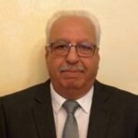 مجالس المحافظات.. فكرة رائدة وقانون عاجز