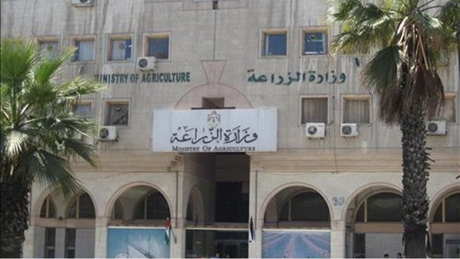 ارتفاع أسعار المنتجين الزراعيين خلال 6 أشهر