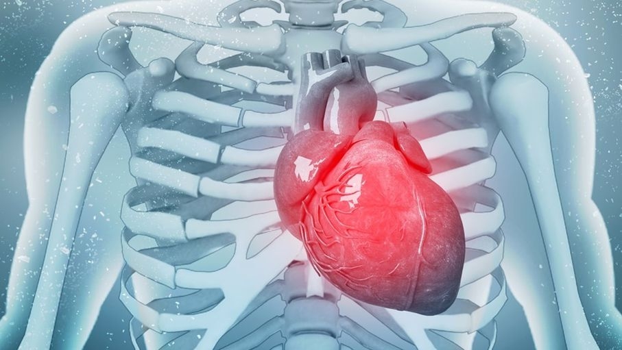 ضعف عضلة القلب.. ما أسبابها وعلاجاتها؟