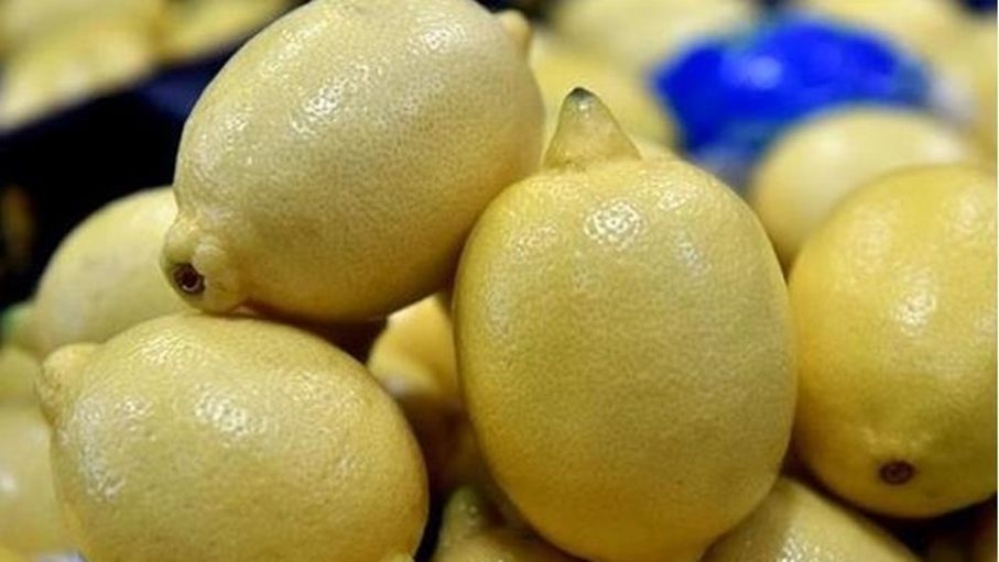 جمعية المصدرين تتحدث عن توفر الليمون في الأسواق