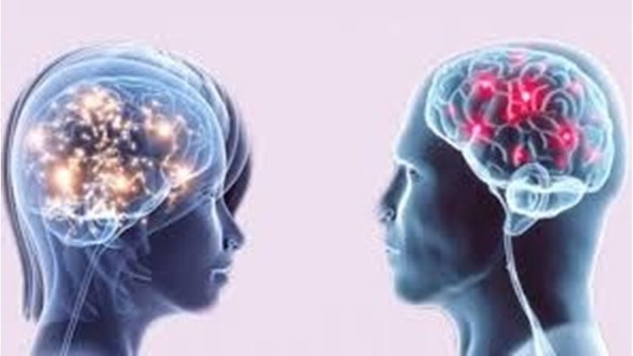 أيهما أقوى ذاكرة: النساء أم الرجال؟