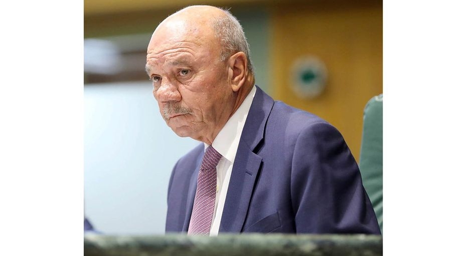 الفايز: خطاب الملك في البرلمان الأوروبي يعبر عن ضمير الأردنيين والعرب