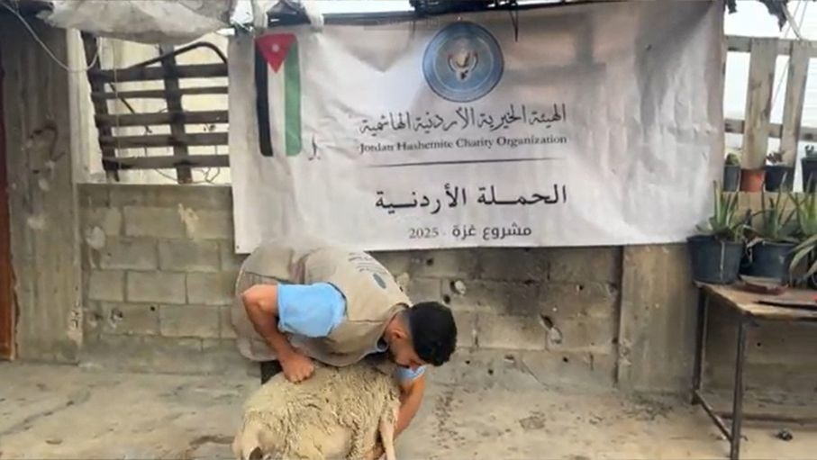 "الهيئة الخيرية الهاشمية" توزع أضاحي في غزة