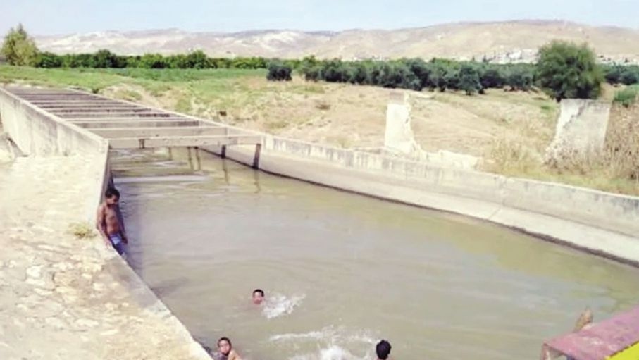 الغور الشمالي.. أطفال يقفزون عن مخاطر الغرق إلى القنوات المائية هربا من الحرارة