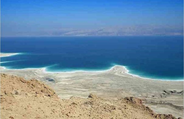 اختتام منافسات البطولة العربية لاختراق الضاحية في البحر...