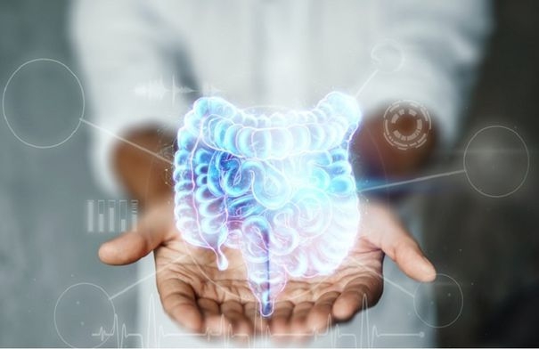 علاج طبيعي واعد للالتهابات المعوية