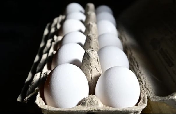 ارتفاع سعر البيض في نيويورك يحوله لأحد عناصر الرفاهية