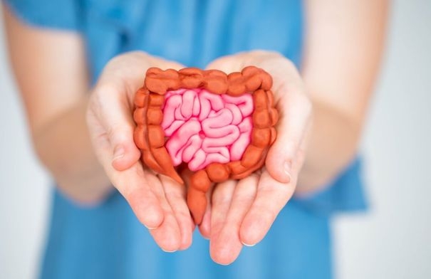 لمعدة أقوى ومناعة أفضل.. جرّب هذه الخلطة الطبيعية