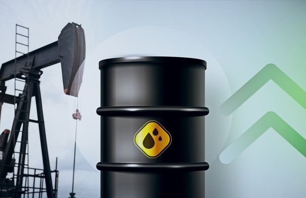 عقل: برميل النفط قد يصل إلى 100 دولار إذا استمر الصراع...