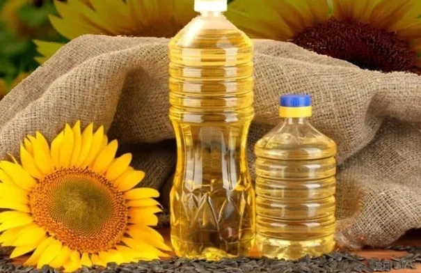زيت عباد الشمس.. فوائد مخفية وخرافات شائعة