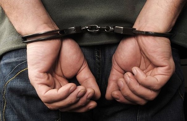مداهمة في الزرقاء تنتهي بتوقيف معذّب قطط داخل منزله شهرا