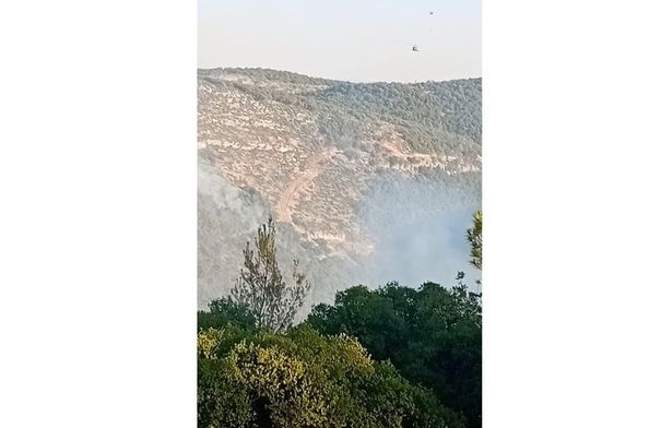 بدء عمليات التبريد لموقع حريق وديان الشام في جرش