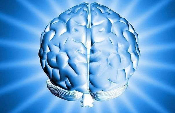 لدماغ سليم.. ابتعدوا عن هذه المأكولات