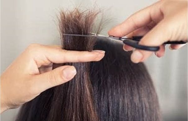 5 طرق فعّالة لعلاج الشعر المتقصف في المنزل بسهولة