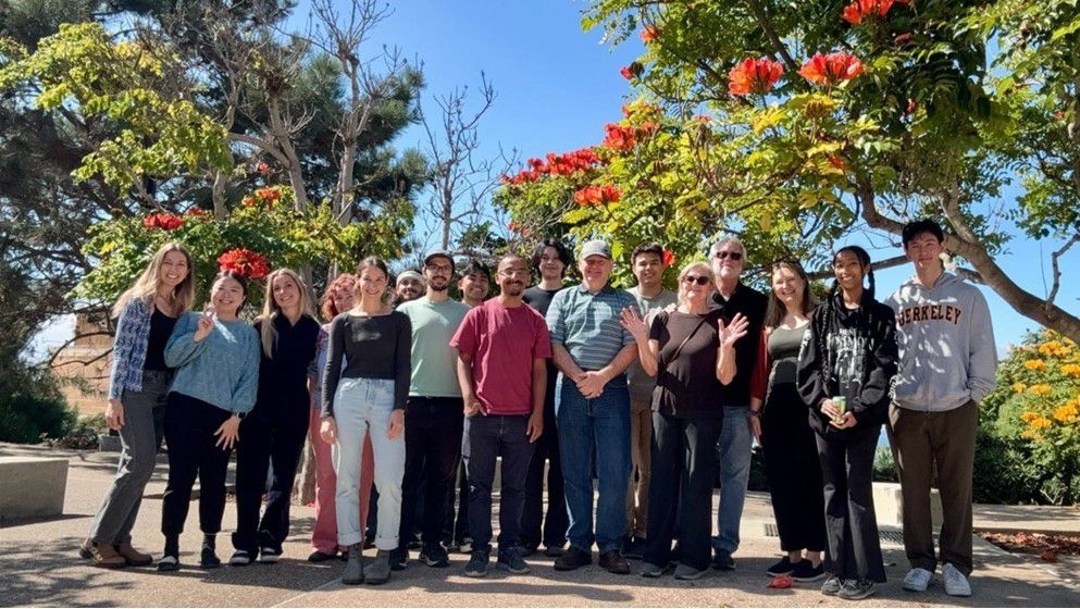 U.S. Grant Funds Research on Non-Addictive Pain Treatments from Jordanian Plants - Jordan News