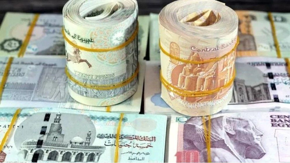 Egypt raises minimum wage for private sector to 7,000 pounds p...