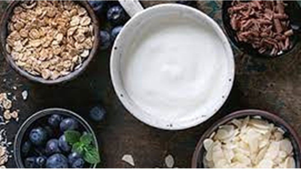 Yogurt: The Hidden Player in the Battle Against Anxiety and Stress - Jordan News
