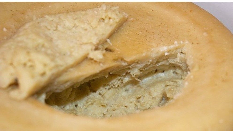 Casu Marzu: The World's Most Dangerous Cheese - Jordan News