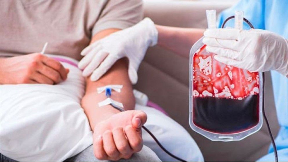 Blood Donation Offers Unexpected Health Benefits - Jordan News