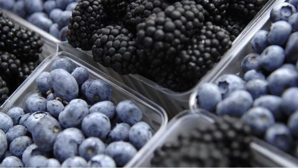 10 Foods That Cleanse Your Liver and Shield It from Disease - Jordan News