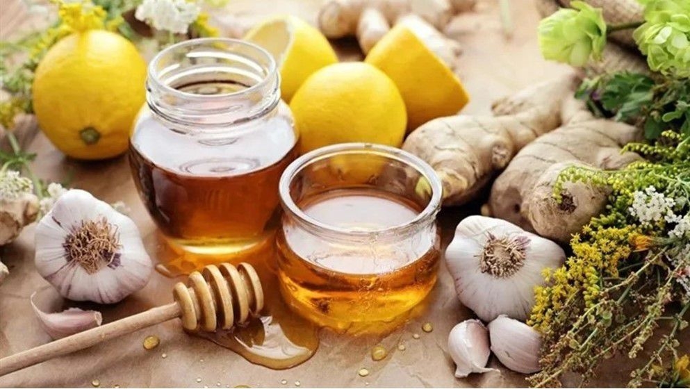To Improve Gut Health: Combine These Two Types of Foods - Jordan News