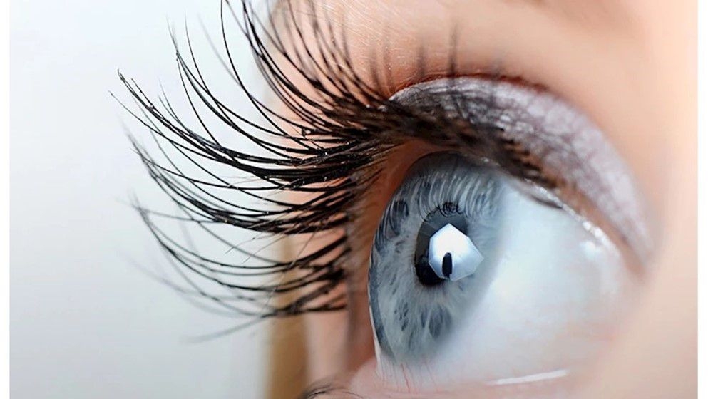 Eye Problems Indicate Dementia Risk Before Symptoms Appear - Jordan News