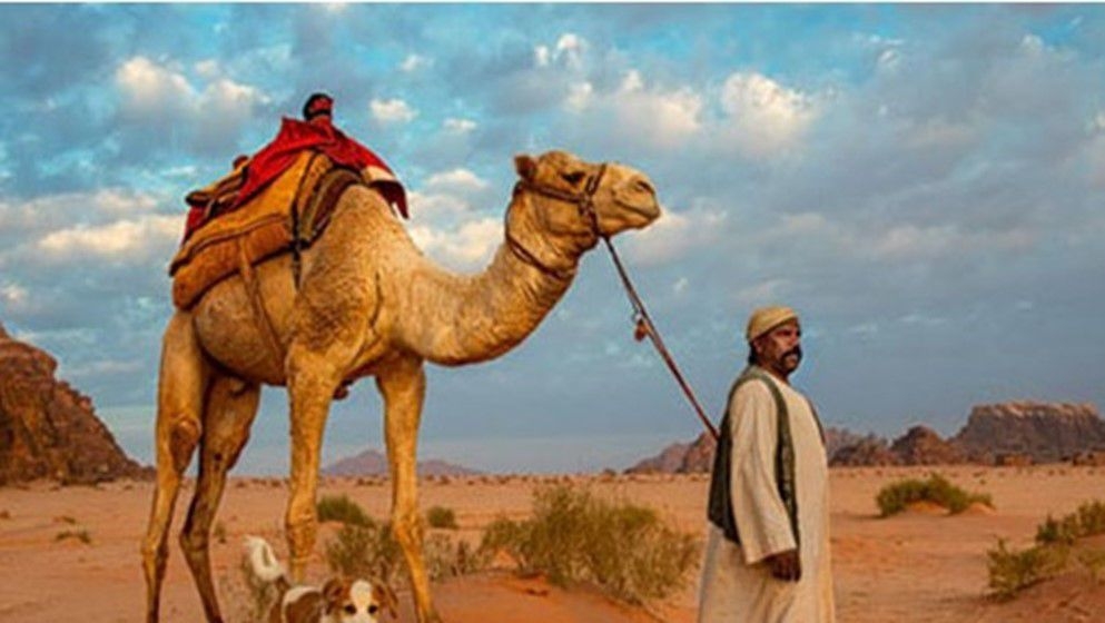 Jordan Between History and Culture - Jordan News