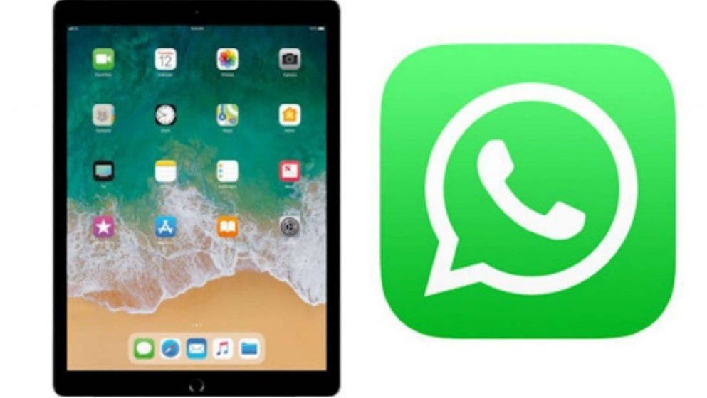 Finally... Meta Officially Launches WhatsApp App for iPad - Jordan News