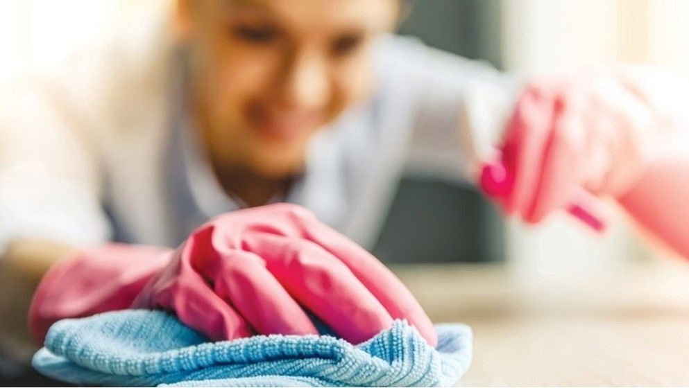 Ministry of Labor: Suspension of Foreign Labor Recruitment Does Not Include Domestic Workers - Jordan News