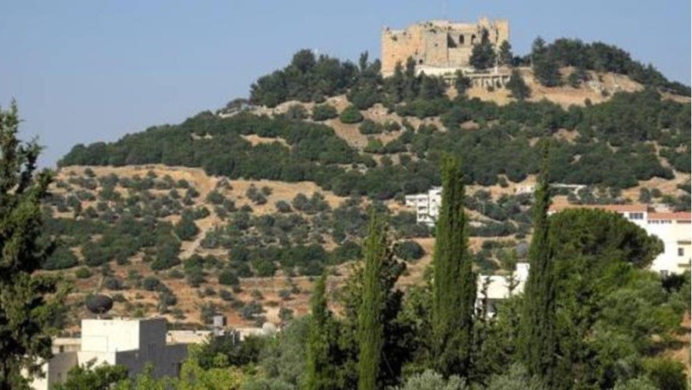 Arrest of a Suspect for Attacking Forest Resources in Ajloun - Jordan News