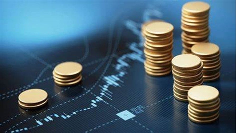 Financial Services Companies Association: The Sector is Under Strict Oversight and Trading is a Personal Responsibility