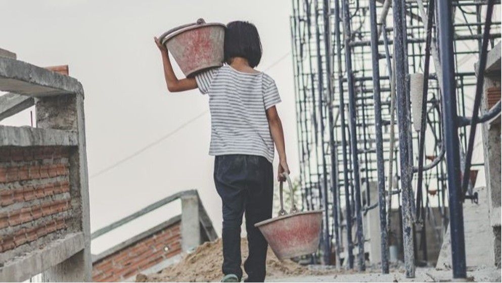 Minister of Labor: We Are Committed to Combating Child Labor—A Child's Place Is in School - Jordan News