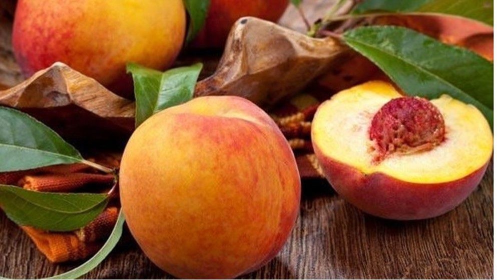 The Health Benefits of Peaches: A Nutritional Summer Treasure - Jordan News