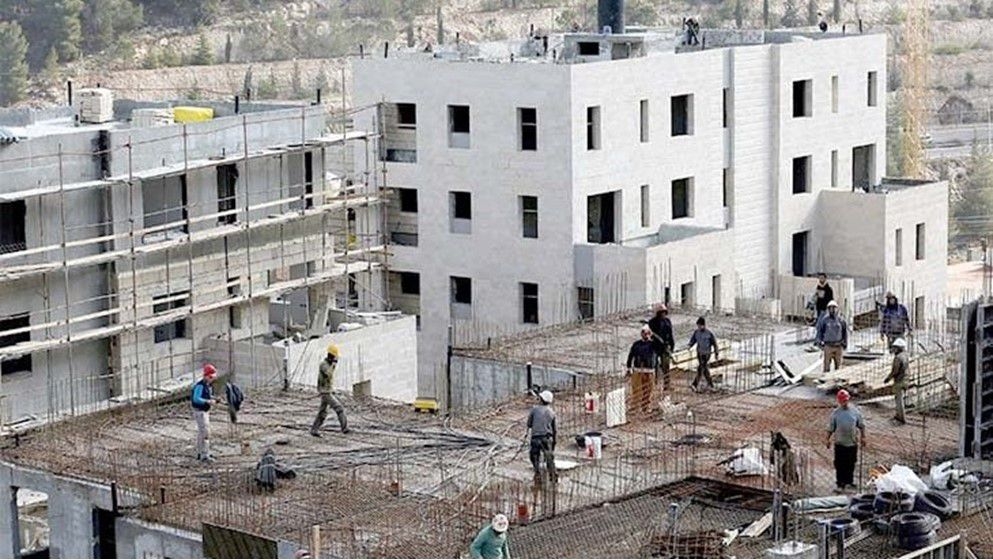 Israeli Settlers Establish New Outpost Near Hebron - Jordan News