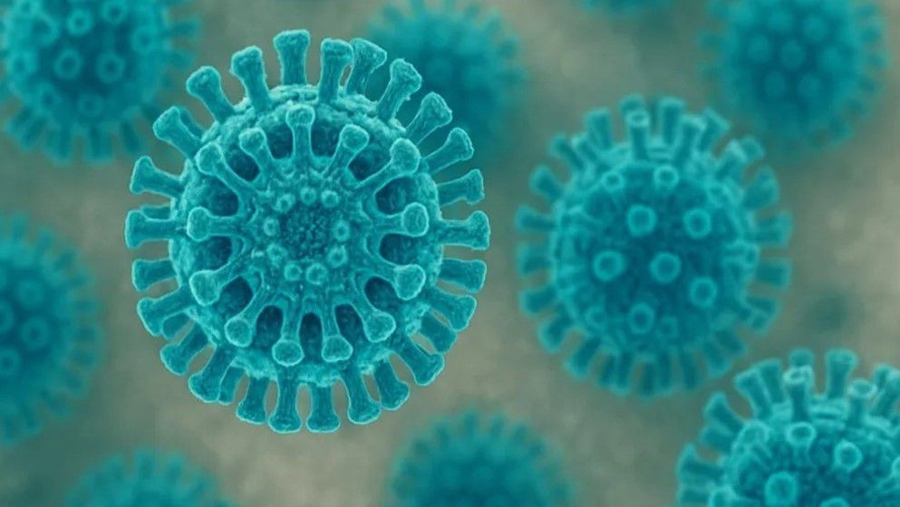 How to Deal with Rotavirus? - Jordan News