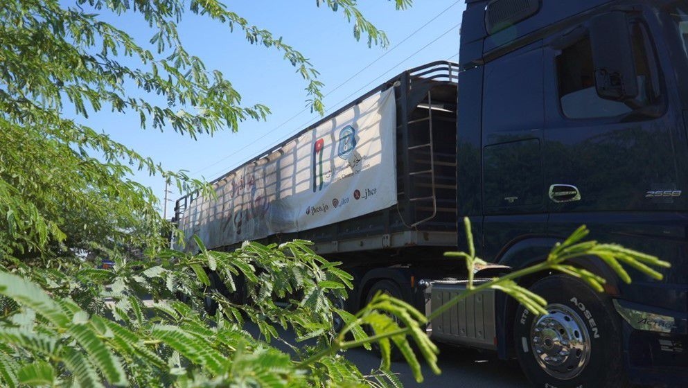 Jordan Hashemite Charity Organization Sends New Humanitarian Aid Convoy to Gaza - Jordan News