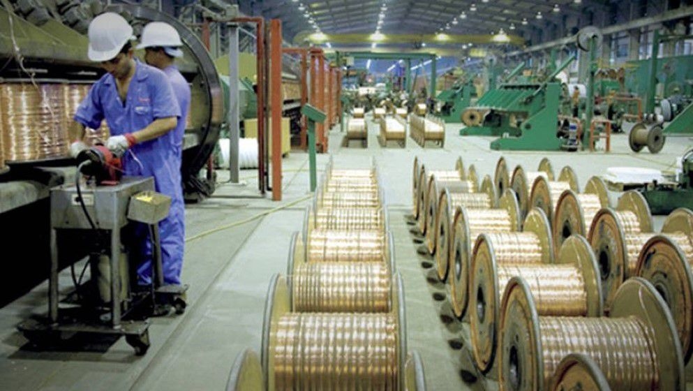 Producer Price Index Drops by 0.49% During First Five Months of 2025 - Jordan News