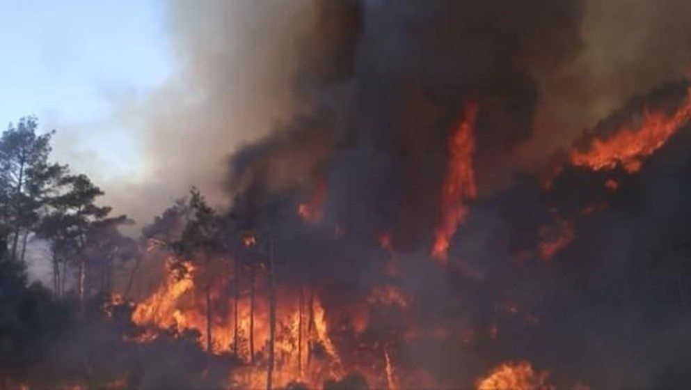 Jordanian Civil Defense Controls Forest Fires in Syria with Ground, Air Coordination - Jordan News