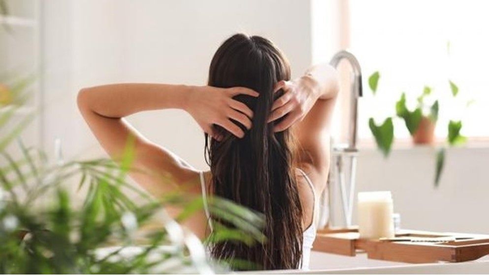 Tea Tree Oil for Rapid Hair Growth: Fact or Myth? - Jordan News