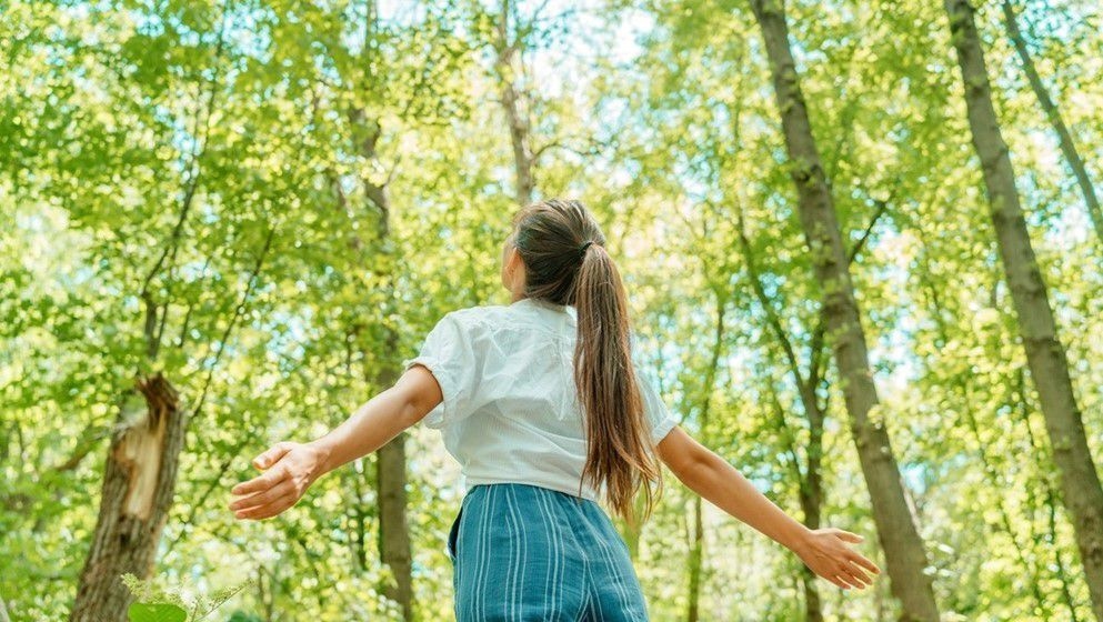 Allergies: When the Immune System Becomes a Source of Discomfort - Jordan News