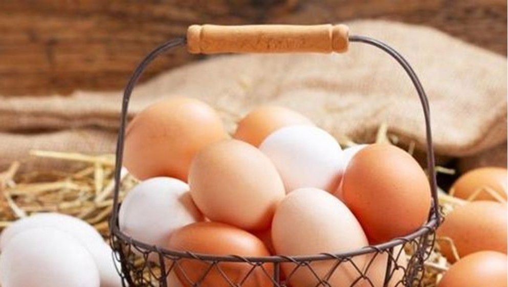 Why Is Egg Considered a Complete Food? - Jordan News