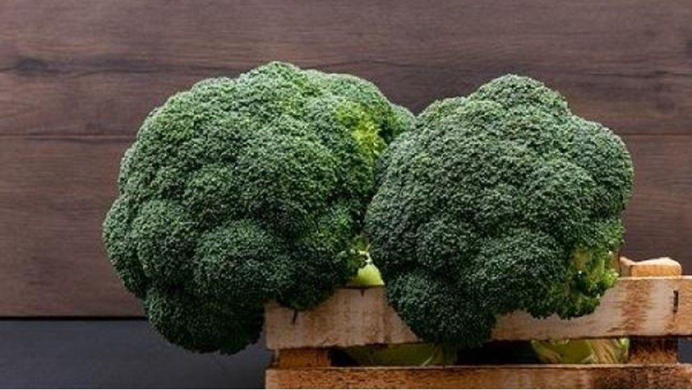 Study: Eating Broccoli Can Protect Against Diabetes - Jordan News