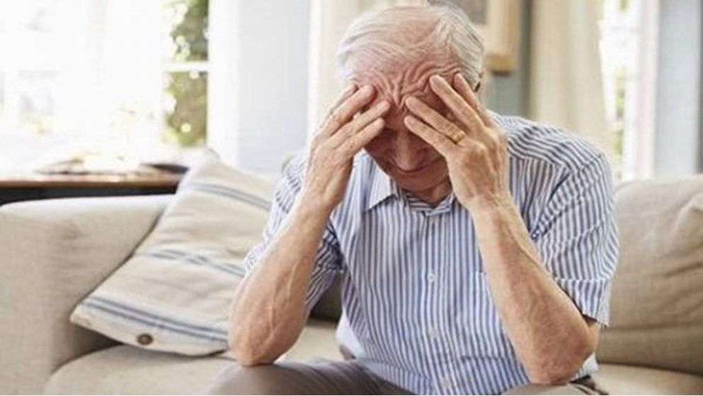 Healthy Habits to Protect the Brain and Slow Cognitive Decline - Jordan News